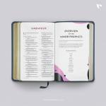 ESV Kid’s Bible