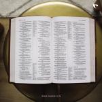 NIV, Thinline Reference Bible, Leathersoft (Brown)