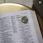 NIV, Thinline Reference Bible, Leathersoft (Brown)