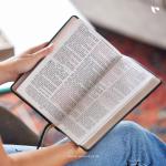 KJV, Personal Size Large Print Reference Bible (Brown)