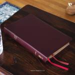 Holy Bible: New International Version