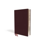 Holy Bible: New International Version