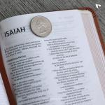 Holy Bible Niv (Brown)