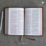 Holy Bible Niv (Brown)