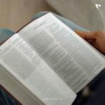 ESV Large Print Thinline Bible