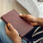 ESV Large Print Thinline Bible