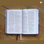 Holy Bible: NIV(Dark Orchid / Grape)