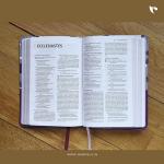 Holy Bible: NIV(Dark Orchid / Grape)