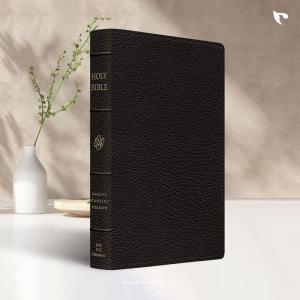 ESV Preaching Bible (Black)