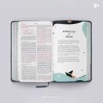 ESV Kid’s Bible (Lion of Judah Imitation Leather)
