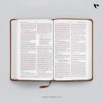 ESV Thinline Bible : Thinline Leather Bound