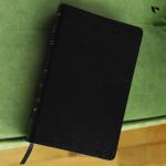 Amplified Holy Bible, Bonded Leather (Black)