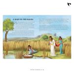 The Illustrated Children’s Bible Hardcover