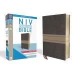 NIV, Thinline Bible, Large Print (Brown/Tan)