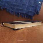 NIV, Thinline Bible, Large Print (Brown/Tan)