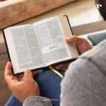 KJV Holy Bible (Purple Leathersoft)