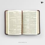 KJV COMPACT HOLY BIBLE (Brown)