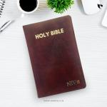 HOLY BIBLE NIV