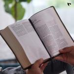 NKJV, End-of-Verse Reference Bible (Pink)