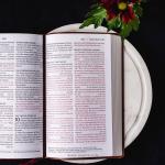 NKJV, End-of-Verse Reference Bible (Pink)