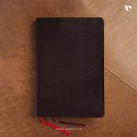 NIV, Thinline Bible, Large Print, Bonded Leather, Burgundy