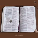 NIV, Thinline Bible, Large Print, Bonded Leather, Burgundy