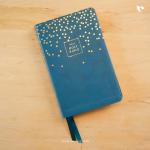 KJV, Thinline Bible Youth Edition (Leathersoft, Blue)