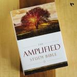 AMPLIFIED STUDY BIBLE HC Hardcover