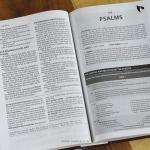 AMPLIFIED STUDY BIBLE HC Hardcover