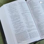 NIV Foundation Study Bible, Hardcover, Red Letter Edition