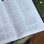 NIV Foundation Study Bible, Hardcover, Red Letter Edition