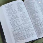 NIV Foundation Study Bible, Hardcover, Red Letter Edition
