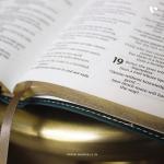 Niv Thinline Bible (Teal)