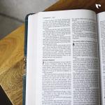 Niv Thinline Bible (Teal)