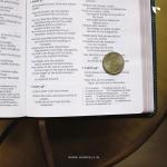 Niv Thinline Bible (Teal)