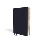 Holy Bible: New International Version (Navy)