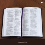 Holy Bible: New International Version (Navy)